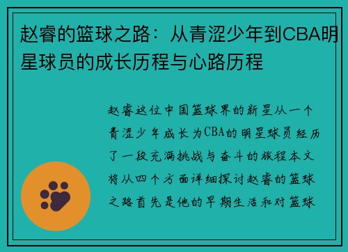 赵睿的篮球之路：从青涩少年到CBA明星球员的成长历程与心路历程